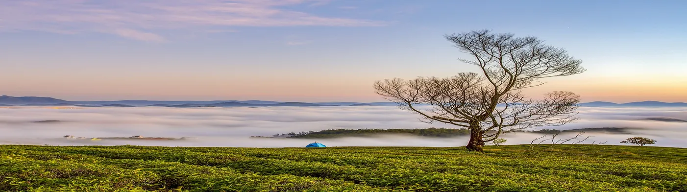 법무법인 서앤율