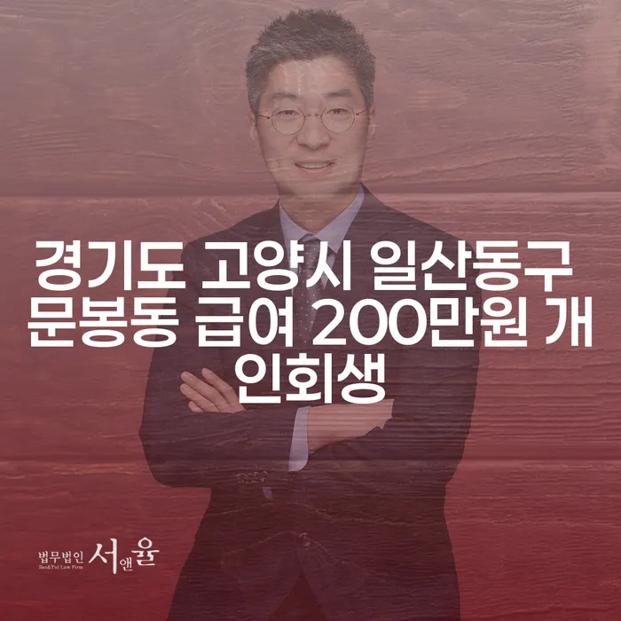 경기도 고양시 일산동구 문봉동에서 급여 200만원으로 개인회생 신청이 가능할까요?