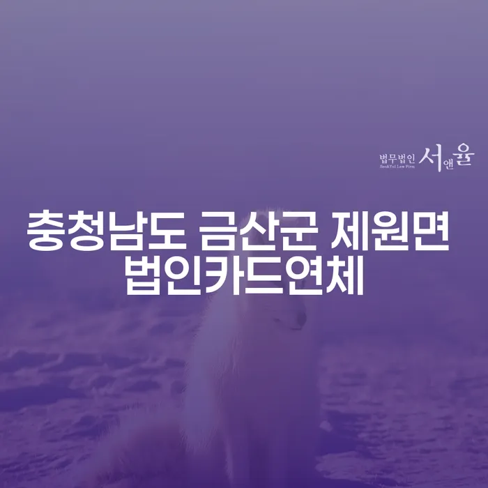 충청남도 금산군 제원면에서 법인카드 연체 시 개인회생과 파산, 어떤 선택이 맞을까요?