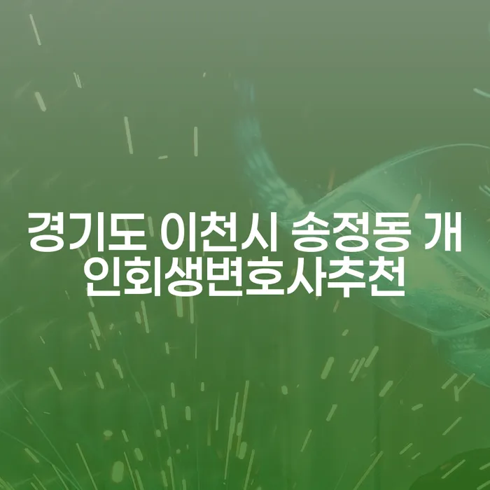 경기도 이천시 송정동에서 개인회생 변호사 추천을 찾는다면?