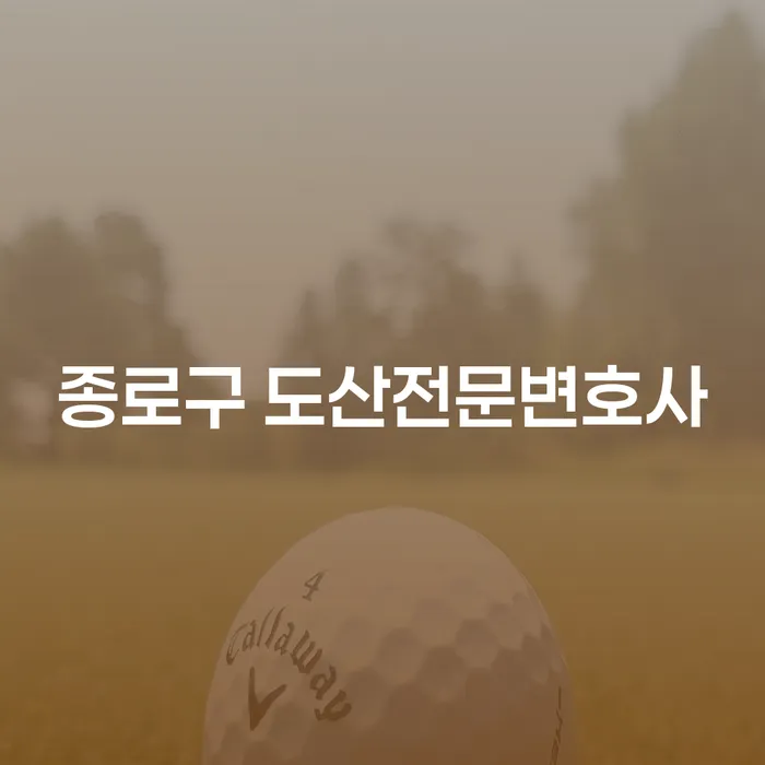 종로구 도산전문변호사, 개인회생과 개인파산의 차이는 무엇일까요?