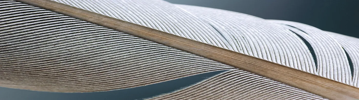 법무법인 서앤율